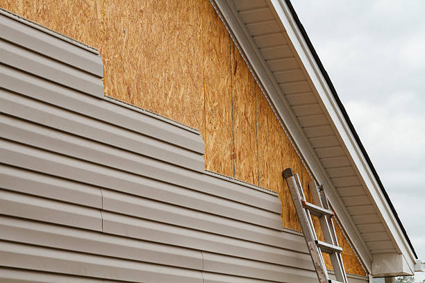 Professional Siding Repair technician working in Homeland, FL
